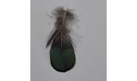 Pluma cola tornasol 80mm / Cuentas y Plumas