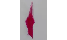 Pluma teñida Fuxia 100-130mm / Cuentas y Plumas