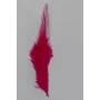 Pluma teñida Fuxia 100-130mm / Cuentas y Plumas