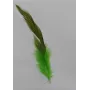 Pluma teñida Verde 100-130mm / Cuentas y Plumas