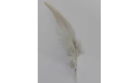 Pluma teñida Beige 100-130mm / Cuentas y Plumas