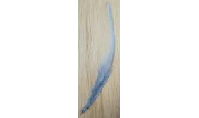 Pluma teñida Gris 100-130mm / Cuentas y Plumas