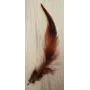 Pluma teñida Marrón 100-130mm / Cuentas y Plumas