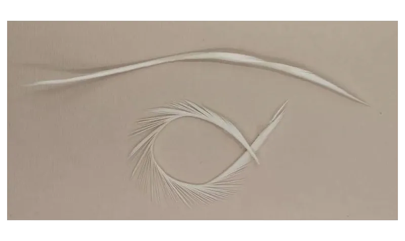 Pluma Rígida 170mm Longitud / Cuentas y Plumas