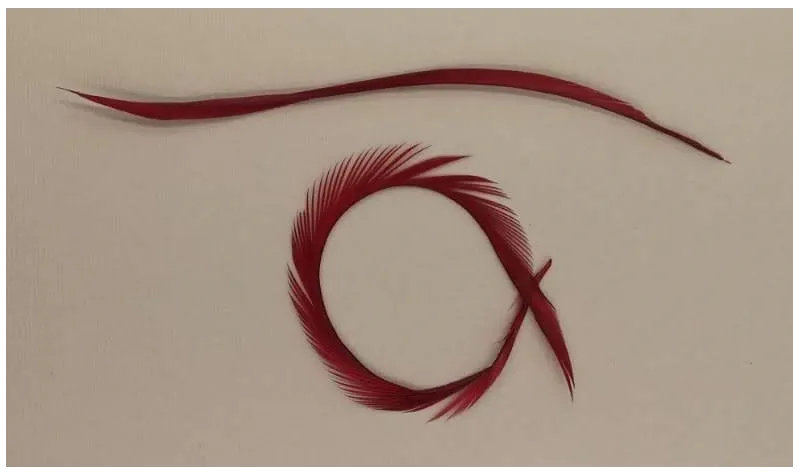 Pluma Rígida 170mm Longitud Granate / Cuentas y Plumas