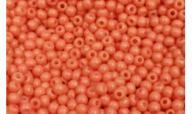 10 gramos de Abalorio cristal Salmón / Abalorio pulseras y Collares