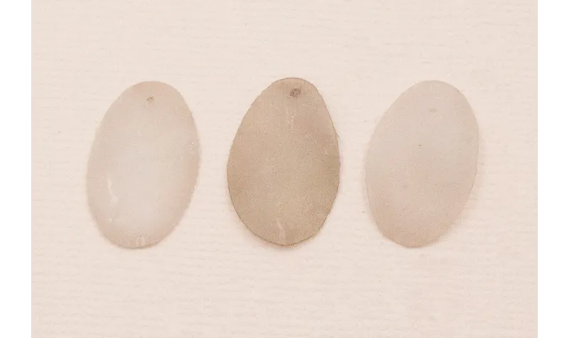 Ovalo 27*16mm Beige Mate rugoso