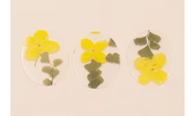 Lentejuela Ovalo 40*28 Flores Naturales Amarillas / Cuentas y Lentejuelas