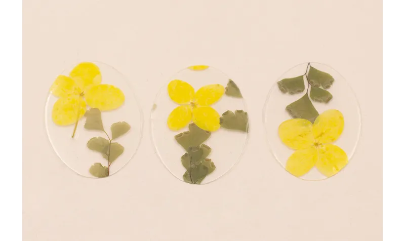 Lentejuela Ovalo 40*28 Flores Naturales Amarillas / Cuentas y Lentejuelas