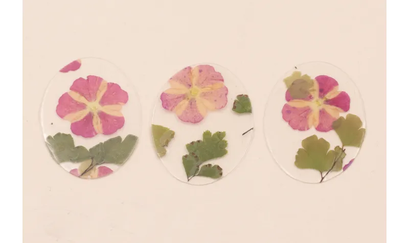 Lentejuela Ovalo 40*28 Flores Naturales Granates