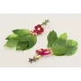 Pendientes lagarto verde, flor esmaltada frambrues
