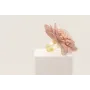 Anillo flor 6 pétalos rosa palo con burruño de ram