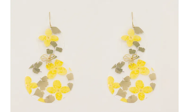 Pendientes gancho, lentejuelas ovalada y disco gra