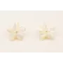 Pendientes flor nacar.