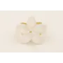 Anillo flor nacar blanca.