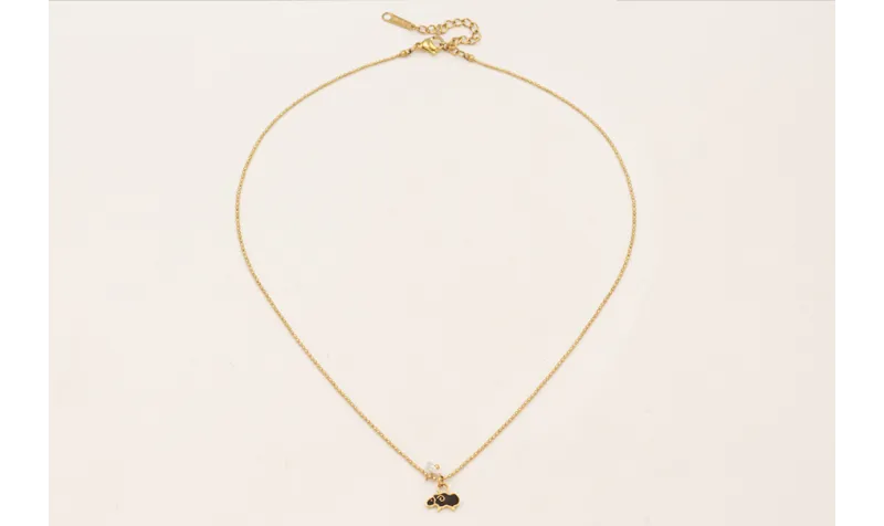 Collar completo ACERO INOXIDABLE bolas con colgant