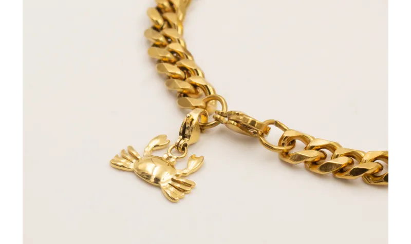 Pulsera completa ACERO INOXIDABLE eslabón grueso c