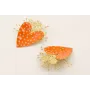 Pendientes corazón esmaltado naranja motas turques