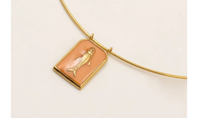 Collar rigido ACERO INOXIDABLE con colgante chapa 